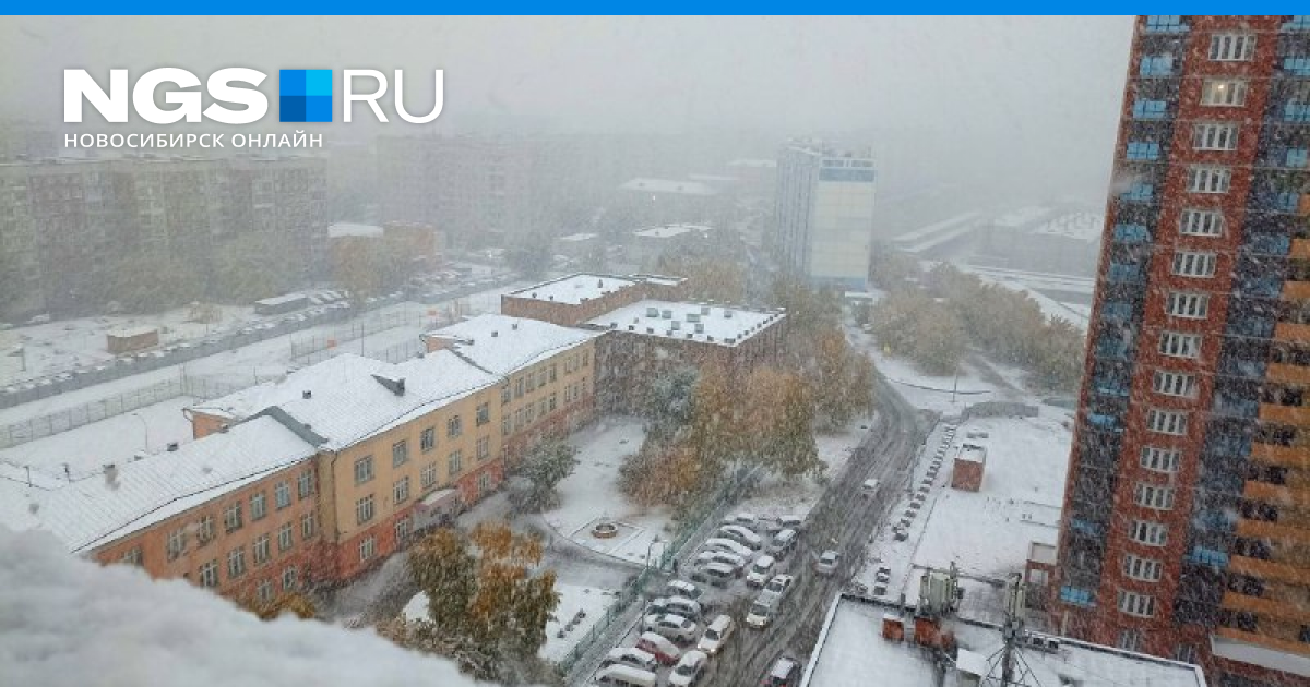 Пошла новосибирск. Первый снег в Новосибирске. Снежная 28. Первый снег в Новосибирске 2022. Снег Новосибирск 2022 сентябрь парк.