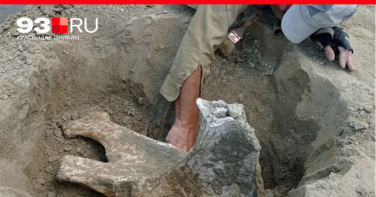 Нашли доисторическую девушку 40 миллионов. Палеонтологические раскопки. Нашли остатки гигантского слона. Найдены остатки гигантского динозавра. 800 Миллионов лет назад девушка найдена.
