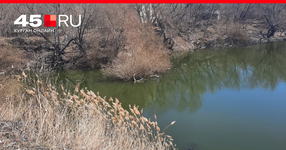 Уровень тобола в кургане сегодня 19 апреля. Река Тобол Курган. Река Тобол в Казахстане. Тобол Курган Вороновка. Река Тобол в Кургане 2022.