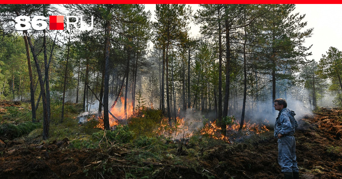 Пожары в хмао сейчас карта