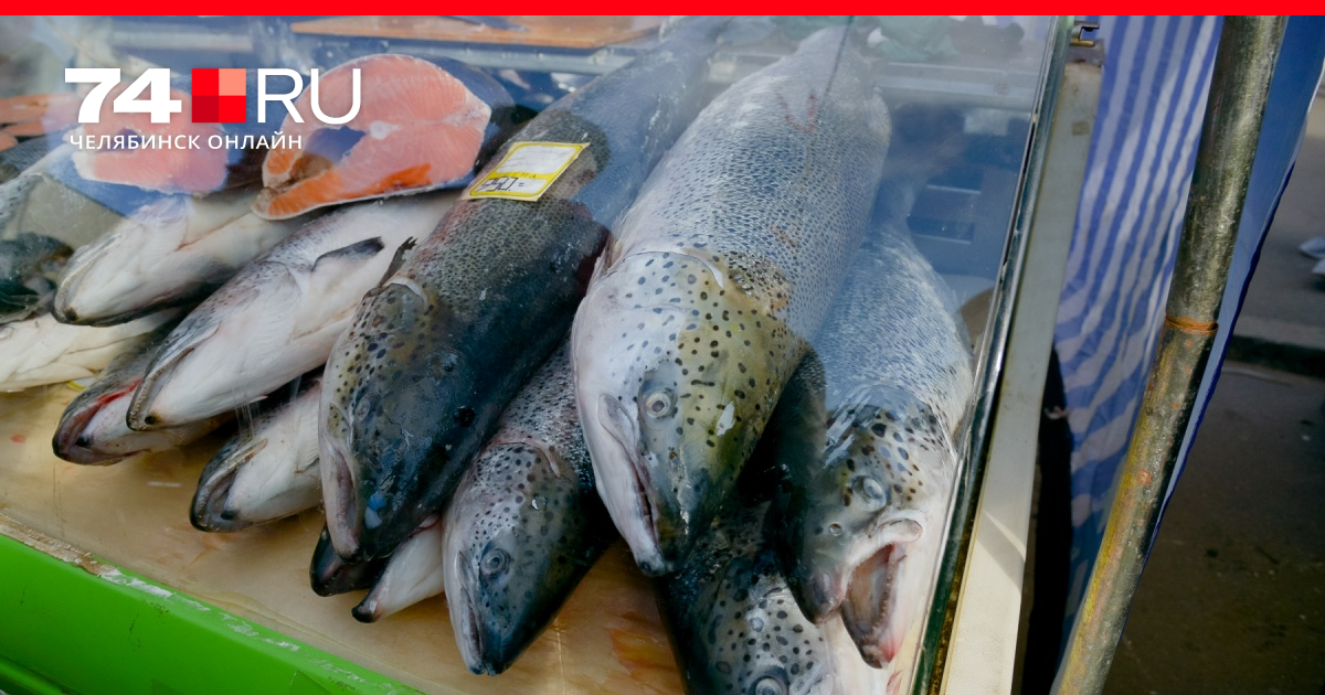 Польза рыбы навага для здоровья и организма: полезные свойства и рецепты приготовления
