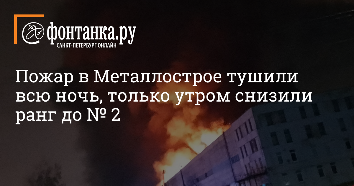 В Металлострое двое братьев показывали детям половые органы и угрожали убийством