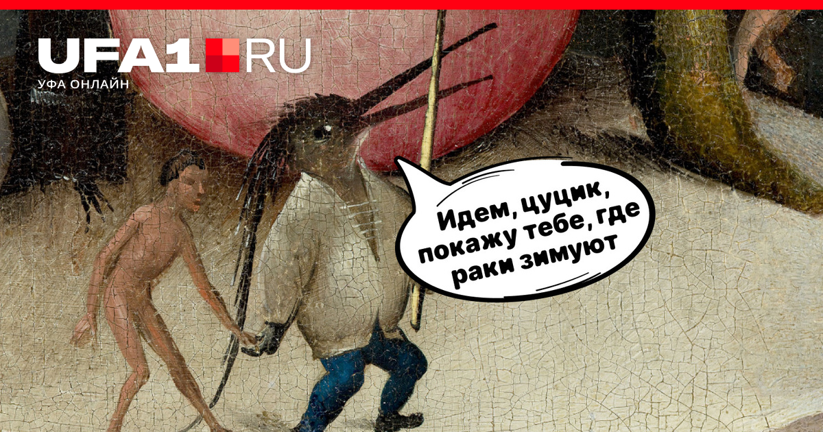 Цуцик собака - 31 фото: смотреть онлайн Кто такой цуцик и где раки зимуют? Попробуйте угадать, откуда у известных фраз ноги растут