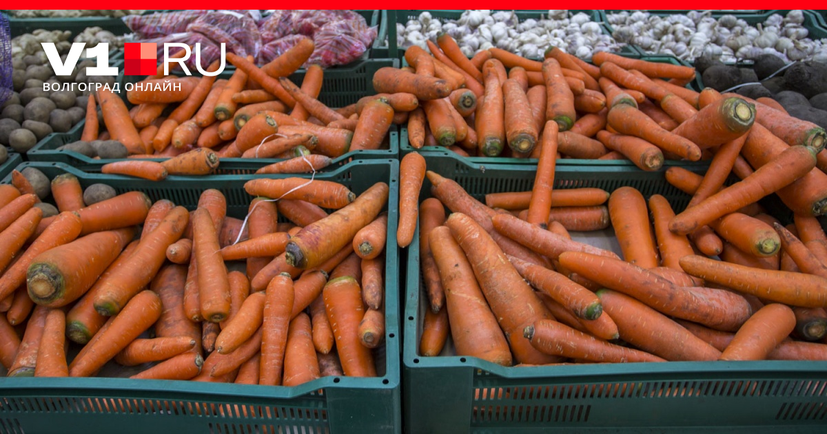 Лучшие сорта моркови для длительного хранения | Антонов сад - дача и огород | Дзен