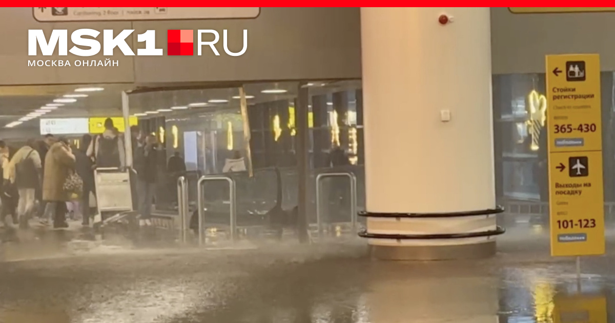 Потоп в аэропорту Шереметьево: почему сработала пожарная сигнализация в ...