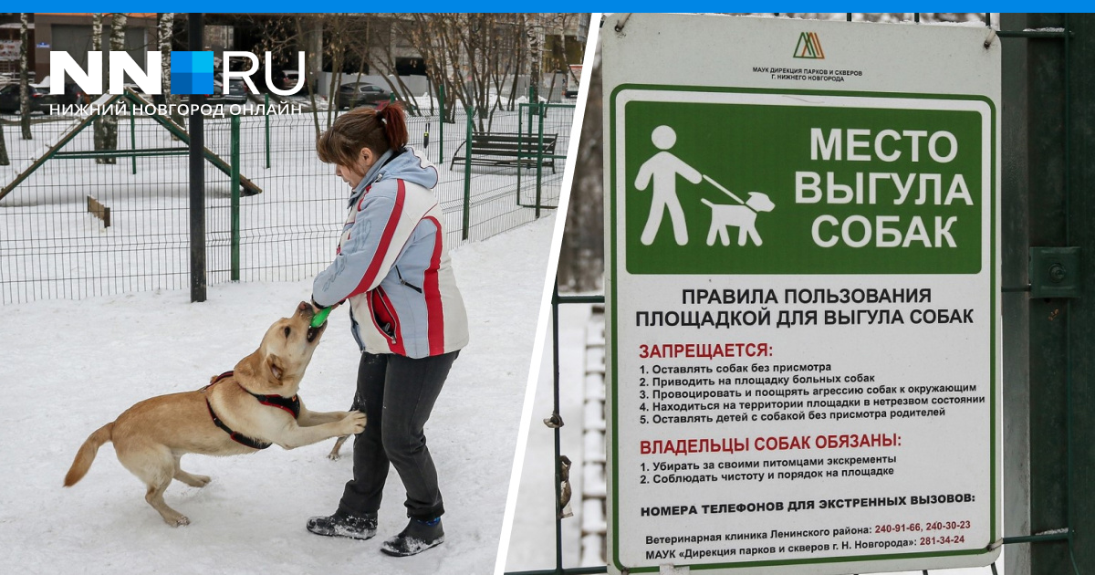 Как по закону заставить нижегородцев убирать за своими собаками - 13  февраля 2023 - НН.ру