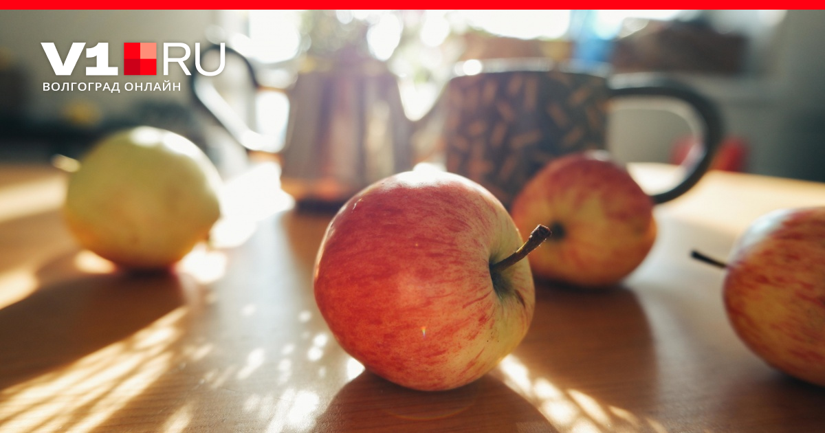 Плодовая гниль на яблоках: монилиоз