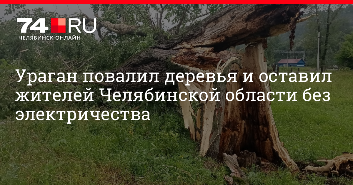 Солнечногорск случаи с деревьями. Ураган повалил деревья. Сильный ветер. Поваленное дерево. Дерево вырванное с корнем.