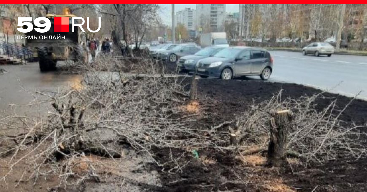 Фольксваген на парковом пермь