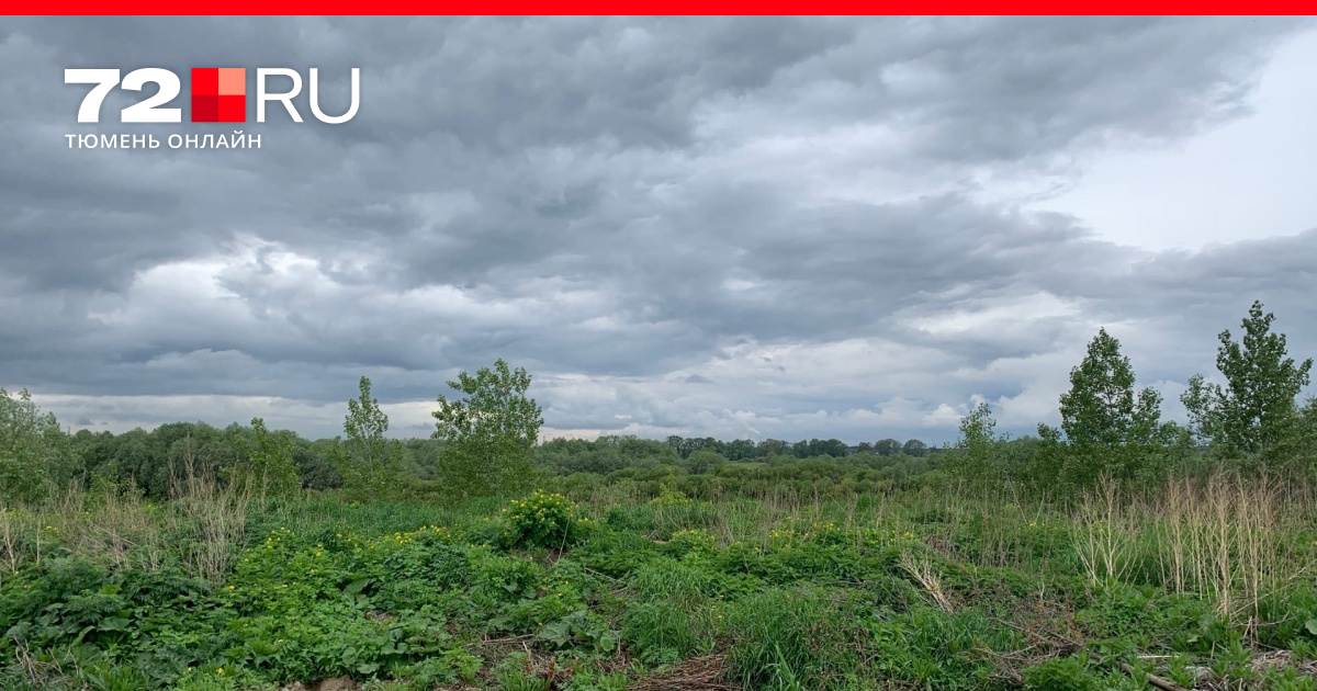 деревня казарово тюмень. оетябрь великоновосёлковский район разрушения домов. деревня турнаево тюмень. поселок андреевский тюменская область. деревня под тюменью.