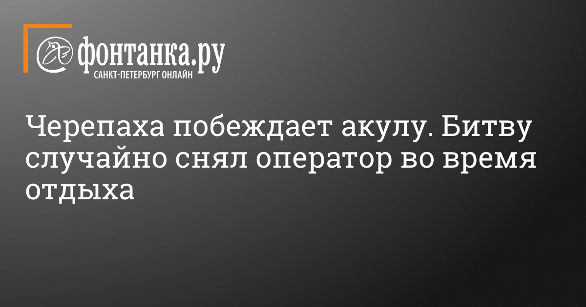 Задача найти высоту стола кошка и черепаха