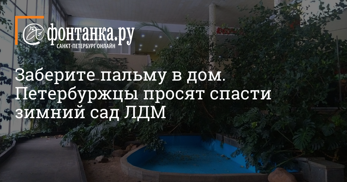 Заберите пальму в дом. Петербуржцы просят спасти зимний сад ЛДМ - 12 января  2022 - Фонтанка.Ру