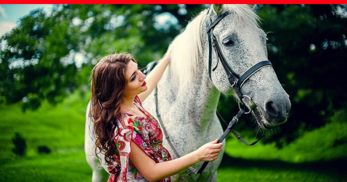 Ответы l2luna.ru: Скажите как называется штука которую одевают лошади на шею??