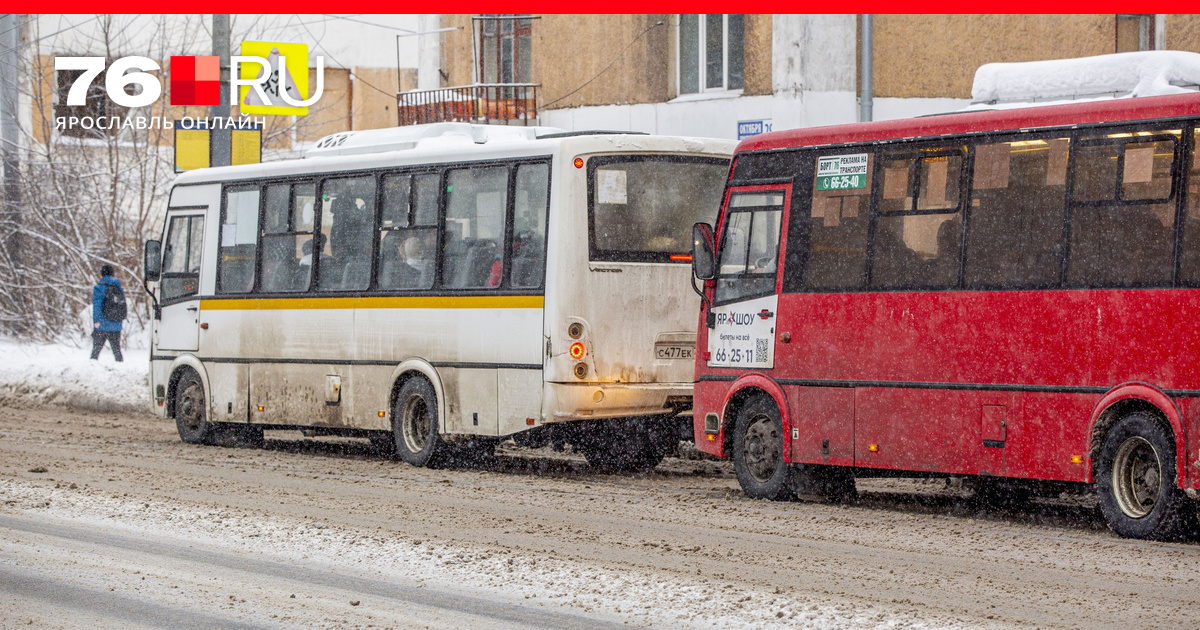 Почему в деревню Лежневка Могилевского района не ходит ни автобус, ни маршрутное такси