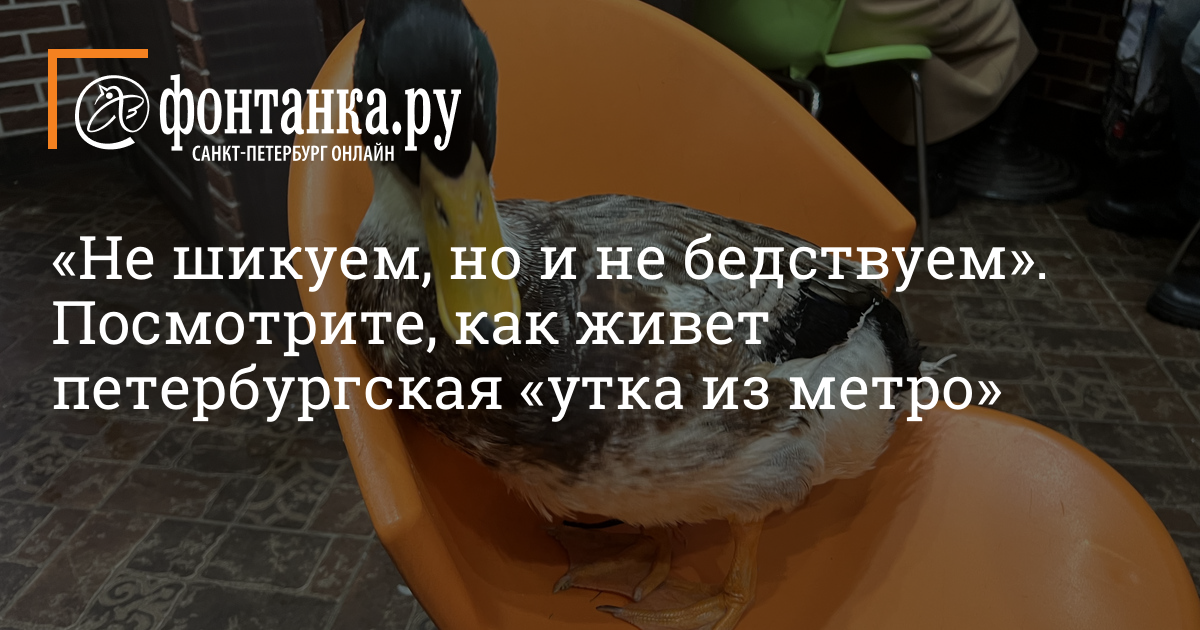 Ташкентец получил пять суток административного ареста за домогательства к девушке в метро