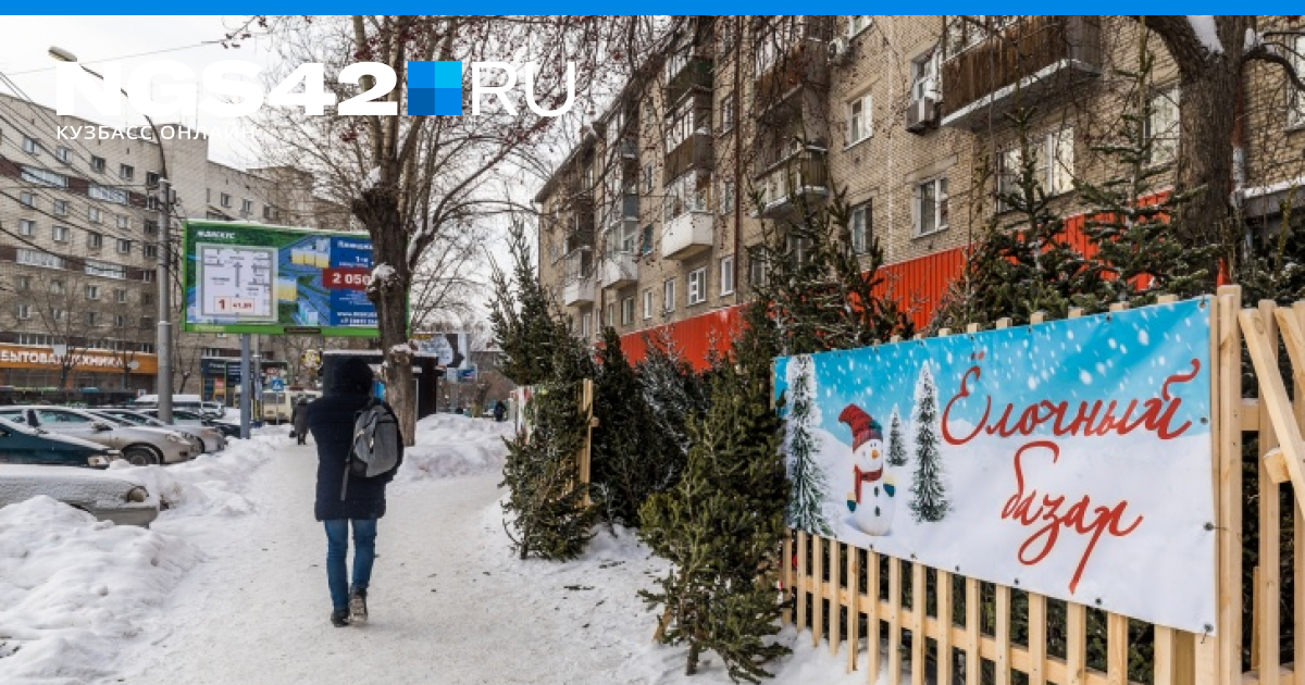 Где купить живую елку на Новый год в Кемерове и Новокузнецке, адреса ...