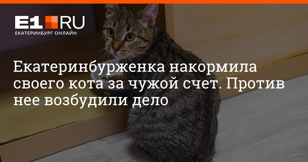 Выйду ночью в кухню с котом накормлю кота а потом