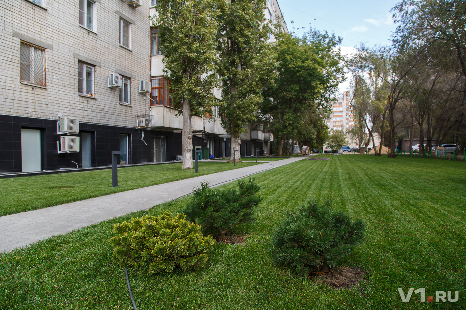 Земляное месиво прикрыли голландским газоном Земляное месиво прикрыли голландским газоном