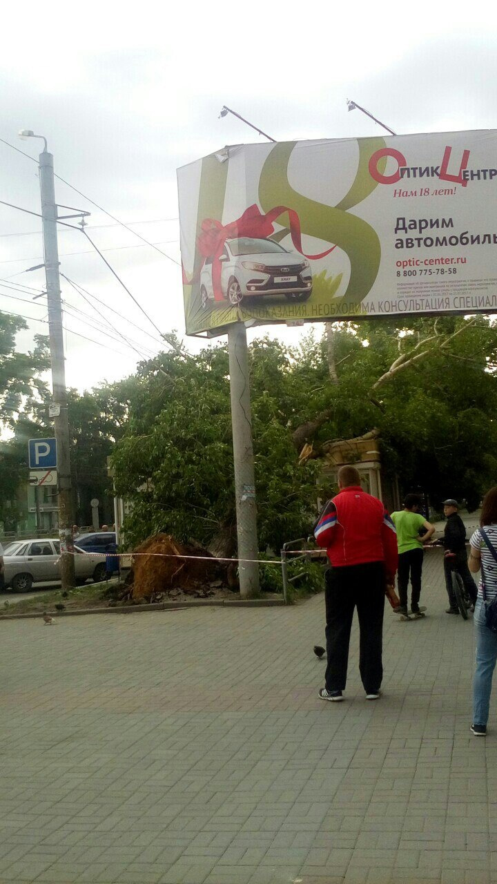 Упавшее на ЛЭП дерево оставило район без света Упавшее на ЛЭП дерево оставило район без света