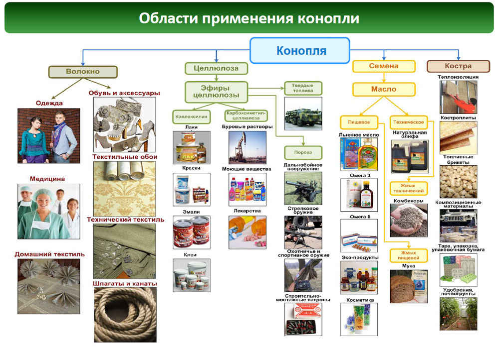 Завод по переработке конопли в россии марихуана купить одесса