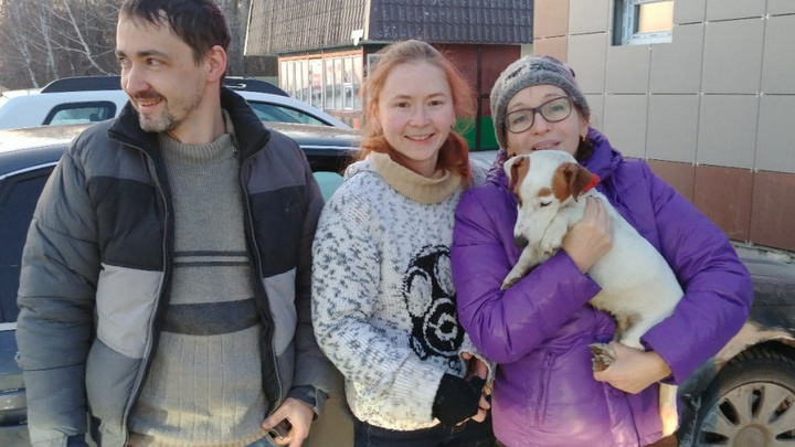 Собаку, сбежавшую из машины после аварии на трассе Екатеринбург — Тюмень, нашли и вернули хозяевам