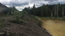Челябинских садоводов встревожили «жёлтые озёра», стекающие в Каштакский бор