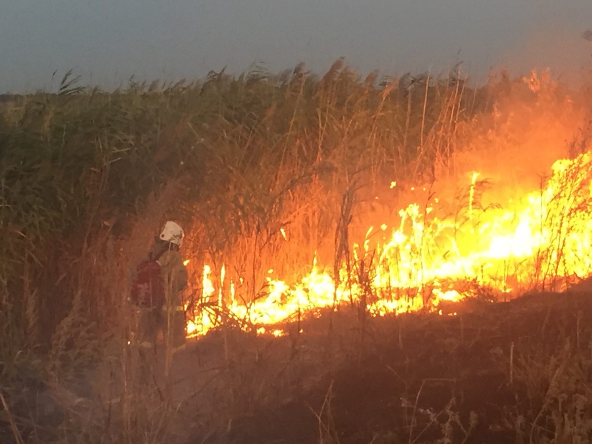 Добровольная команда тушила пожары в Азовском районе