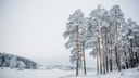 Экстренное предупреждение: на Ярославль обрушатся снегопад и морозы