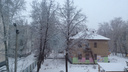 Ярославль накрыл снежный циклон