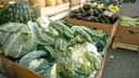 В Самарской области с продажи в магазинах сняли 232 кг гнилых овощей