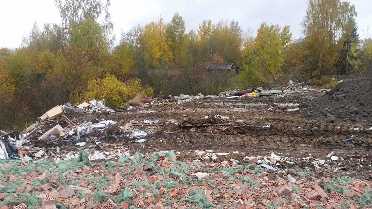 Фото:  комитет по природопользованию, охране окружающей среды и обеспечению экологической безопасности