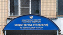 В Волгоградской области от сокрушительного удара в живот умер трехлетний малыш