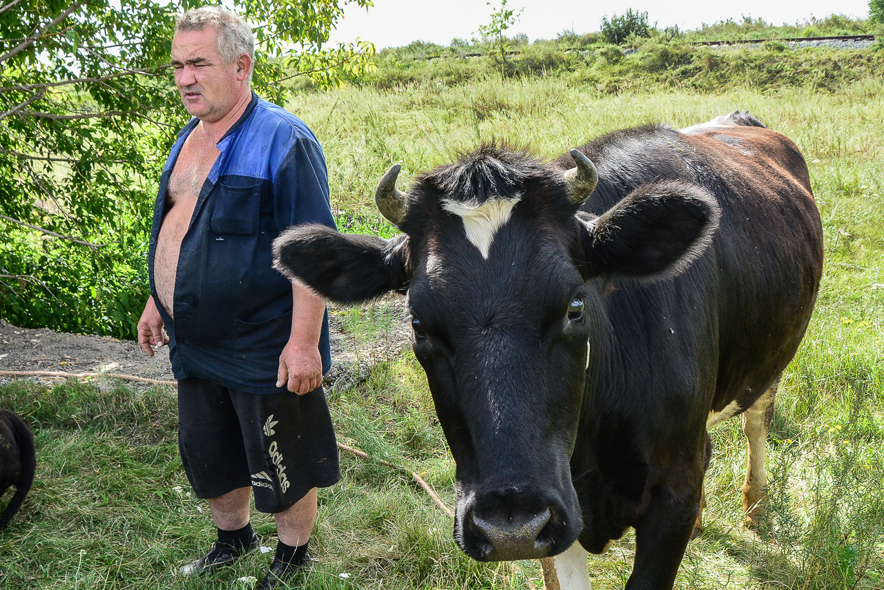 Возить сено для коров удобнее на пикапах УАЗ, но по меркам «некоммерческого» транспорта вместительность «Патриота» очень убедительна