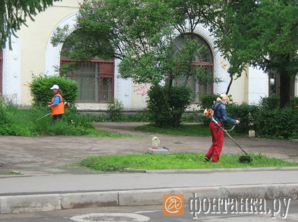 Утро 4 июня - стригут газоны в центре города