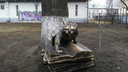 Вандалы изуродовали памятник коту из поэмы Пушкина в Ярославле