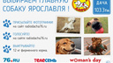Радио Дача 103,3 FM выбирает «Главную собаку Ярославля»