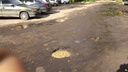 Ярославцы заделывают ямы в дорогах грецкими орехами: фото