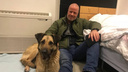 Датский военный писатель забрал трехногую собаку Раду из самарского приюта
