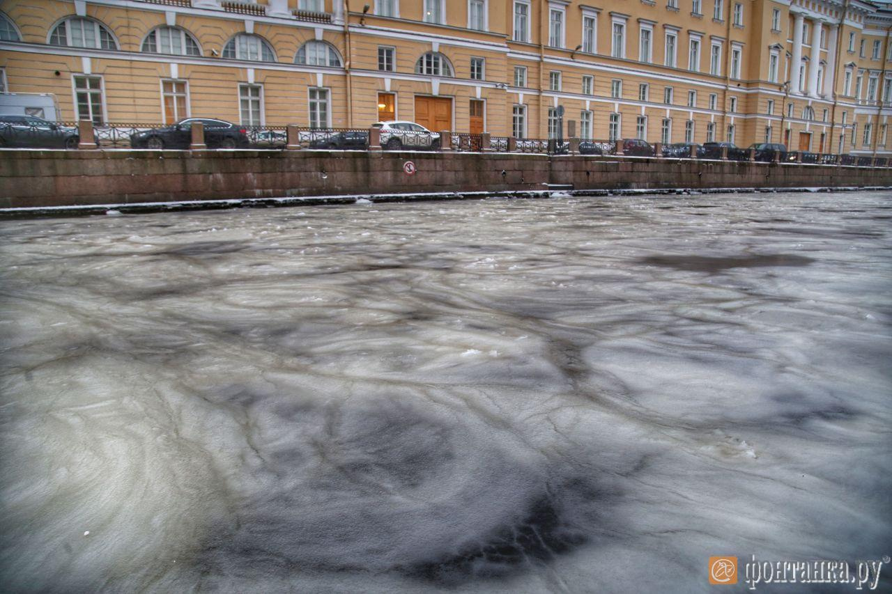 Мойка в Петербурге покрылась космическим разводами. Ледяное сало должно  превратиться в лёд - 28 января 2020 - ФОНТАНКА.ру