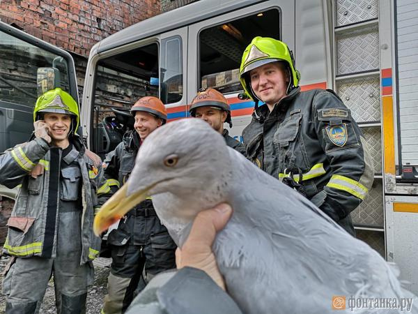 фото: Павел Глазков