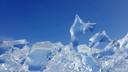 Пришла зима, когда не ждали: волгоградцы делятся снежными фото