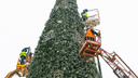 Гирлянда в 1200 ламп: на площади Куйбышева наряжают главную елку города