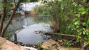 После ливня в Ростове частный дом оказался затоплен, а двор превратился в болото
