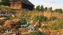 В Ярославской области целую деревню завалило мусором