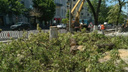 На Садовой от администрации города до вокзала вырубают все аварийные деревья
