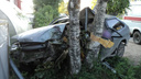 В Устьянском районе водитель отечественного авто погиб при столкновении с деревом