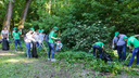 Экологический субботник «Зеленая Россия» в Ростовской области начнется с уборки Ботанического сада