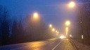 МЧС: на Ярославль надвигается сильный туман