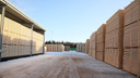 В Устьянском районе открыли крупнейший в стране комплекс по переработке древесины