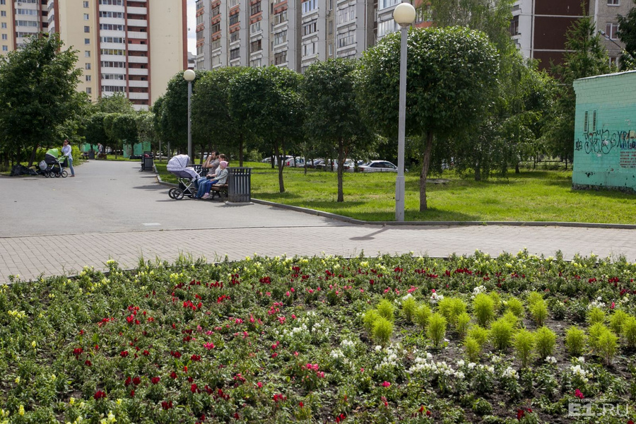 Клумба екб. Клумбы Екатеринбурга. Клумбы в Екатеринбурге 2023.